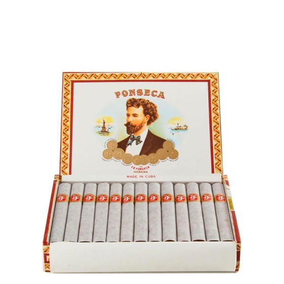 丰塞卡 KDT 学徒