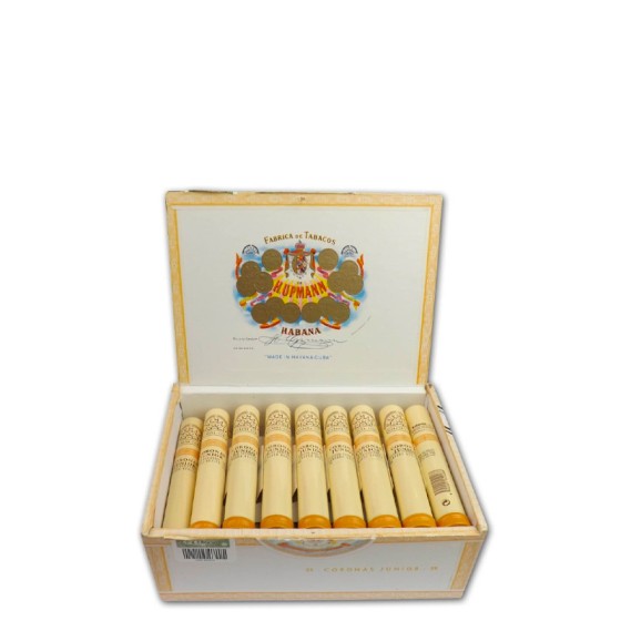 乌普曼 小高朗拿