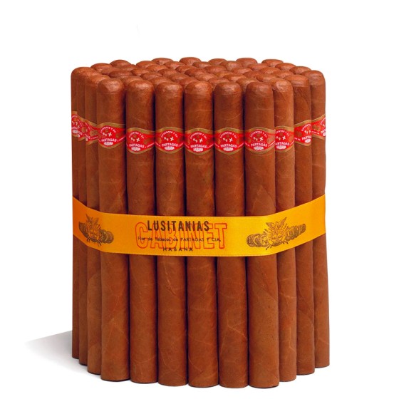 帕塔加斯 露西塔尼亚