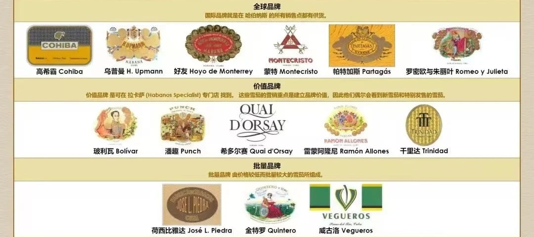 新手选雪茄该选古巴还是非古？一场关于风土与门槛的深度对话